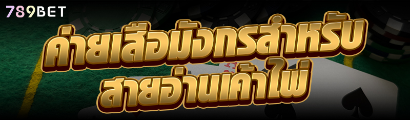 ค่ายเสือมังกรสำหรับสายอ่านเค้าไพ่