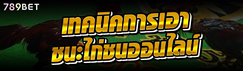 เทคนิคการเอาชนะไก่ชนออนไลน์