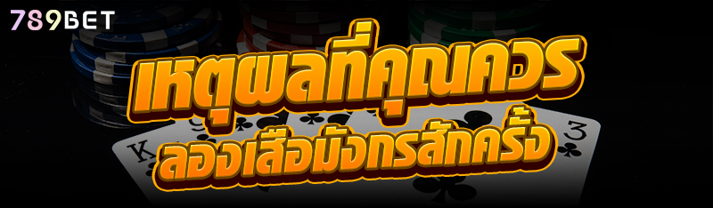 เหตุผลที่คุณควรลองเสือมังกรสักครั้ง