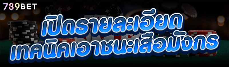 เปิดรายละเอียดเทคนิคเอาชนะเสือมังกร