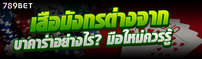 เสือมังกรต่างจากบาคาร่าอย่างไร? มือใหม่ควรรู้