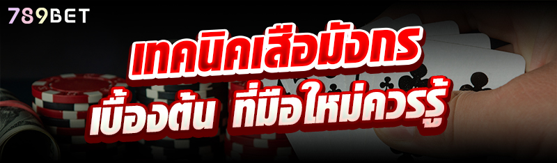 เทคนิคเสือมังกร เบื้องต้น ที่มือใหม่ควรรู้