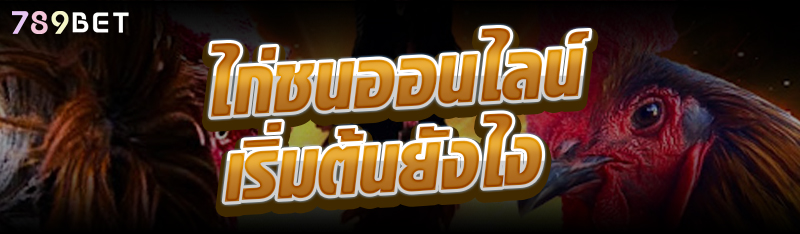 ไก่ชนออนไลน์ เริ่มต้นยังไง